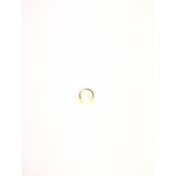 CBR ring 2 neon kon 316L