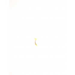 Banana barbell neon kon & kula 316L