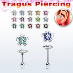 Targus piercing blomma