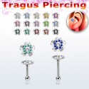 Targus piercing blomma