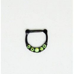 Septum 5 stenar