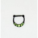 Septum 5 stenar